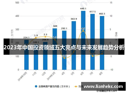 2023年中国投资领域五大亮点与未来发展趋势分析
