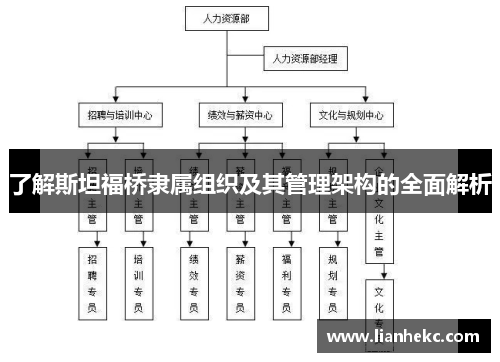 了解斯坦福桥隶属组织及其管理架构的全面解析