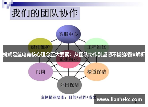 姚明足篮电竞核心理念五大要素：从团队协作到坚韧不拔的精神解析