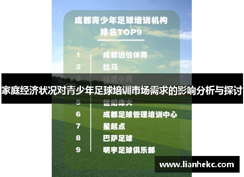 家庭经济状况对青少年足球培训市场需求的影响分析与探讨