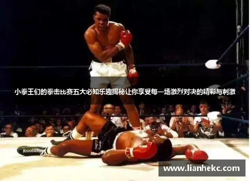 小拳王们的拳击比赛五大必知乐趣揭秘让你享受每一场激烈对决的精彩与刺激 小拳王们的拳击比赛五大必知乐趣揭秘让你享受每一场激烈对决的精彩与刺激